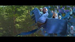 Rio 2 picture