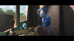 Rio 2 picture