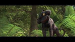 Rio 2 picture