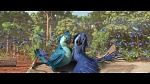 Rio 2 picture