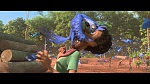 Rio 2 picture