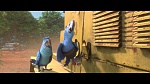 Image Rio 2
