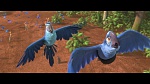 Rio 2 picture