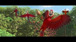 Rio 2 picture