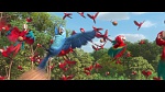 Image Rio 2
