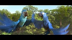 Rio 2 picture
