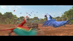 Rio 2 picture