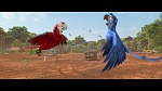Rio 2 picture