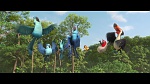 Rio 2 picture