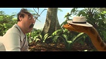 Rio 2 picture