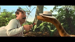 Rio 2 picture