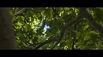 Rio 2 picture