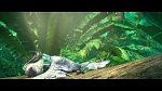 Rio 2 picture