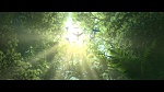 Rio 2 picture