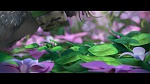 Image Rio 2