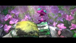 Rio 2 picture