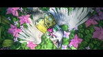 Rio 2 picture