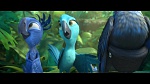 Rio 2 picture