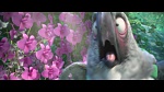 Image Rio 2