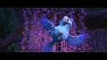 Image Rio 2