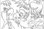 Pages à colorier de Rio!