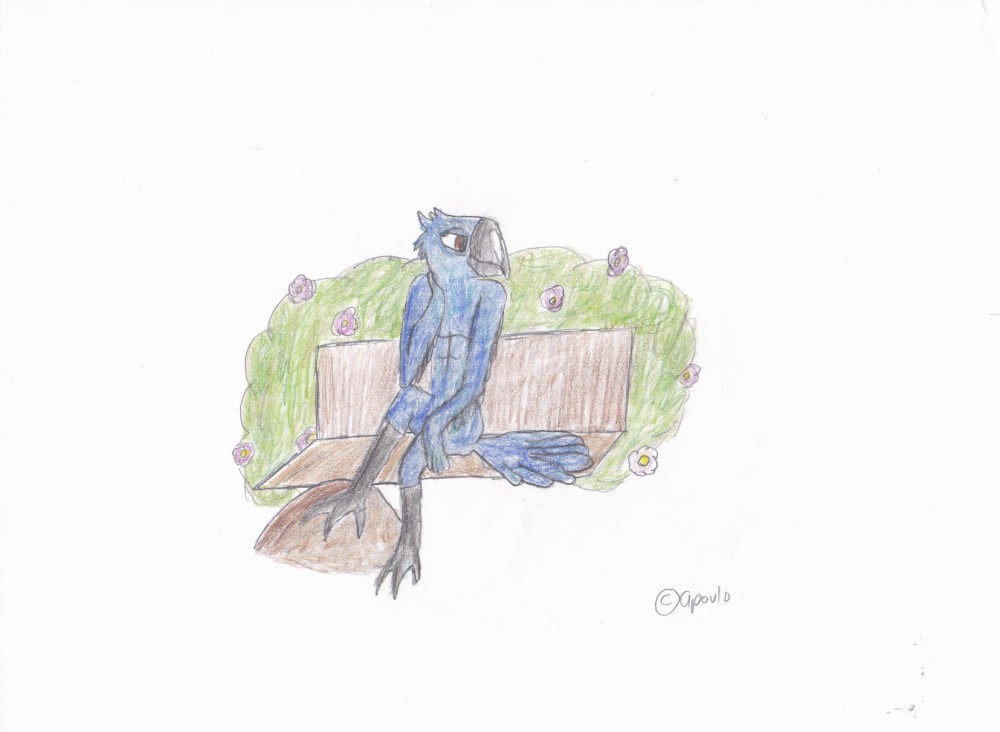 Blu in anthro on a bench