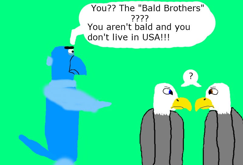 The Bald Brothers VS Sam Eagle