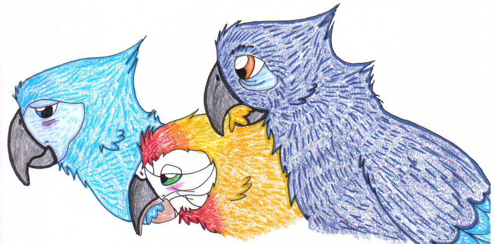 Preening Between Friends