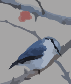 Little blue