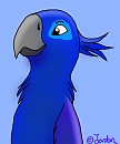 Blu speedpaint