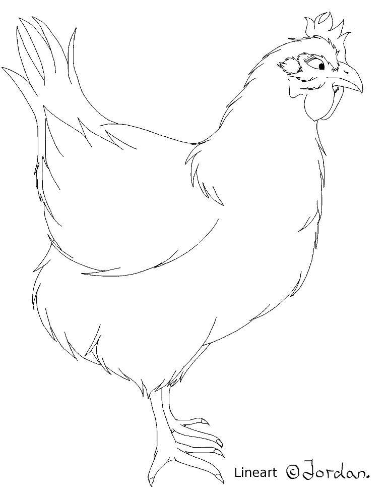 Chicken lineart