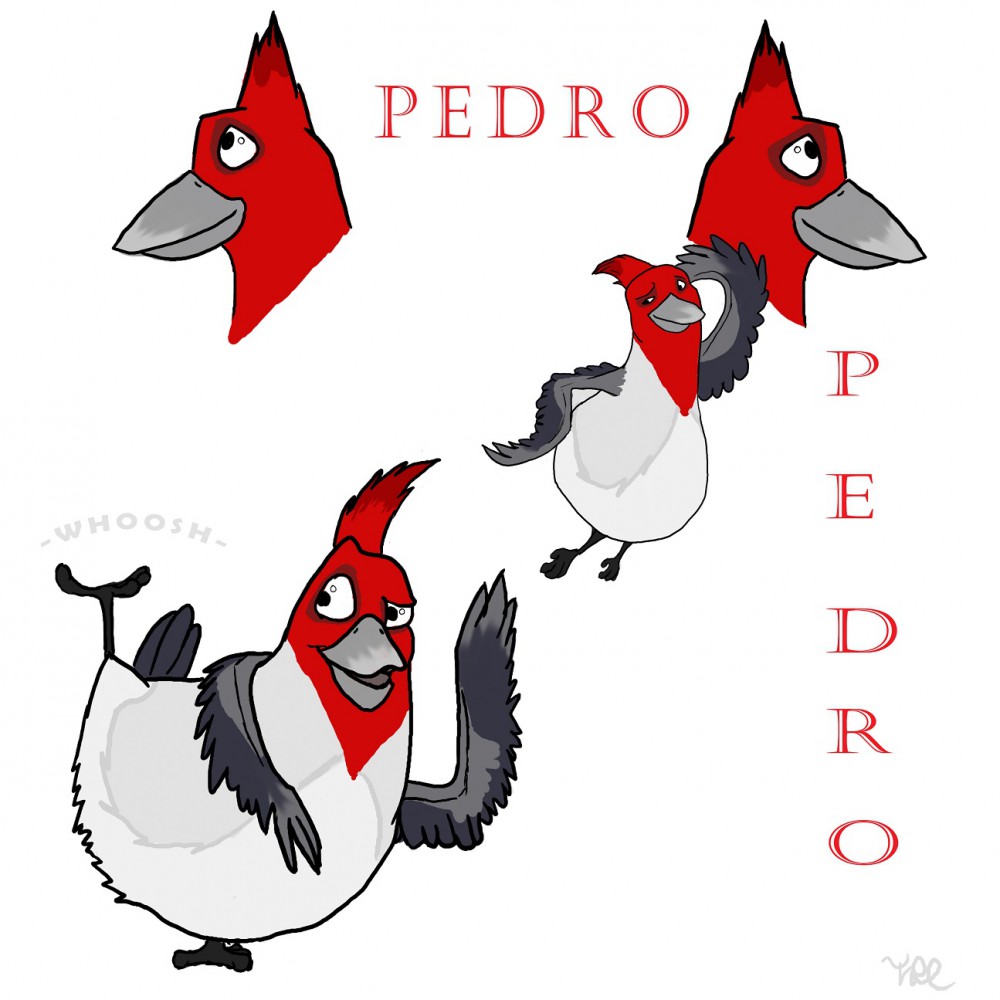 Pedro