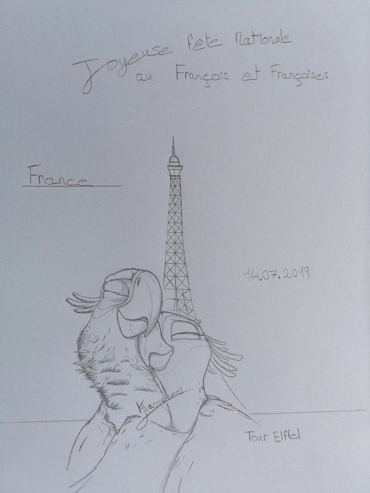 Un ans : Etape 2 : France