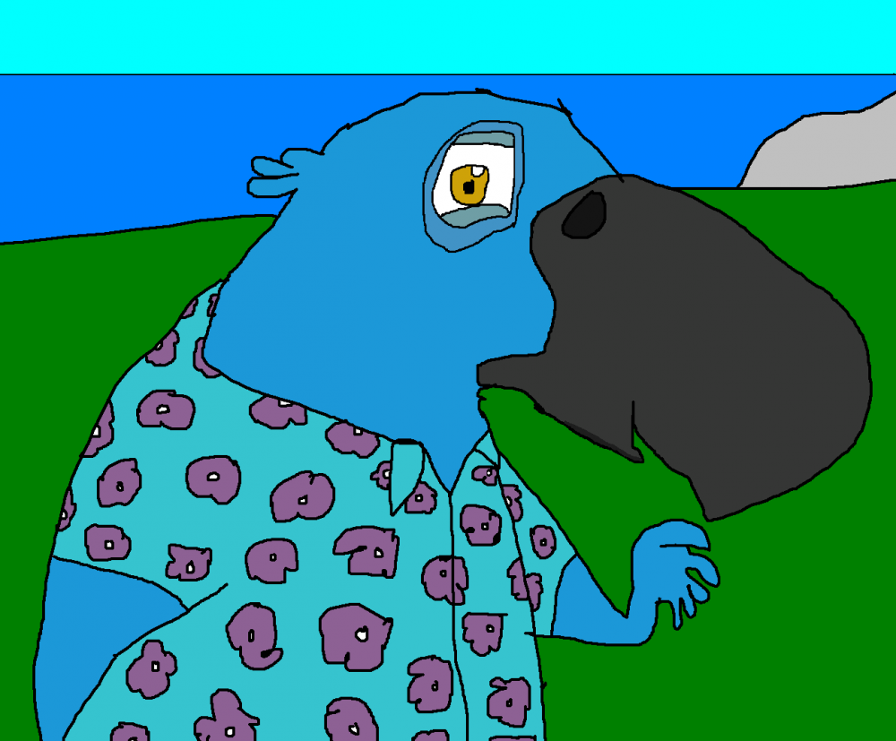 Blu loves Rio De Janiero