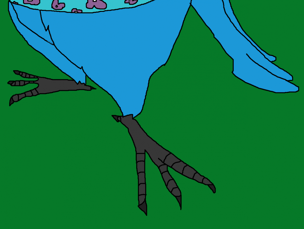 Blu's feet 