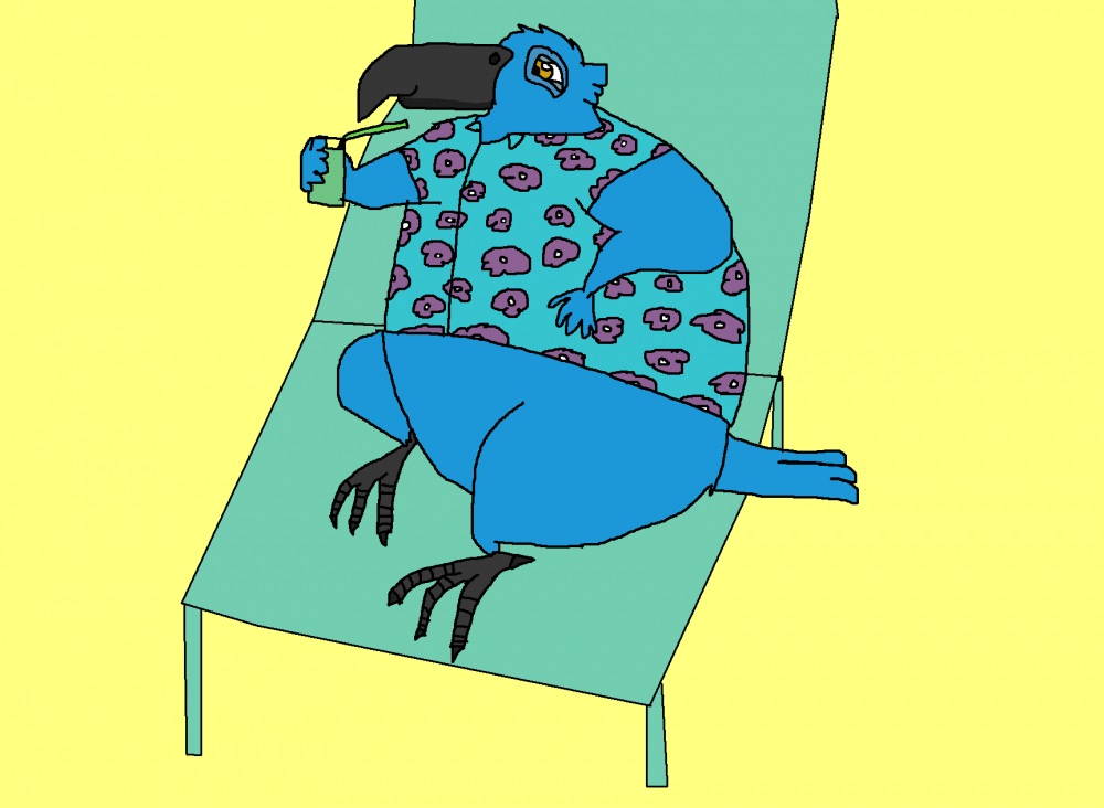Blu relaxing at the beach