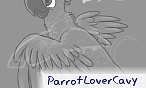 ParrotLoverCavy