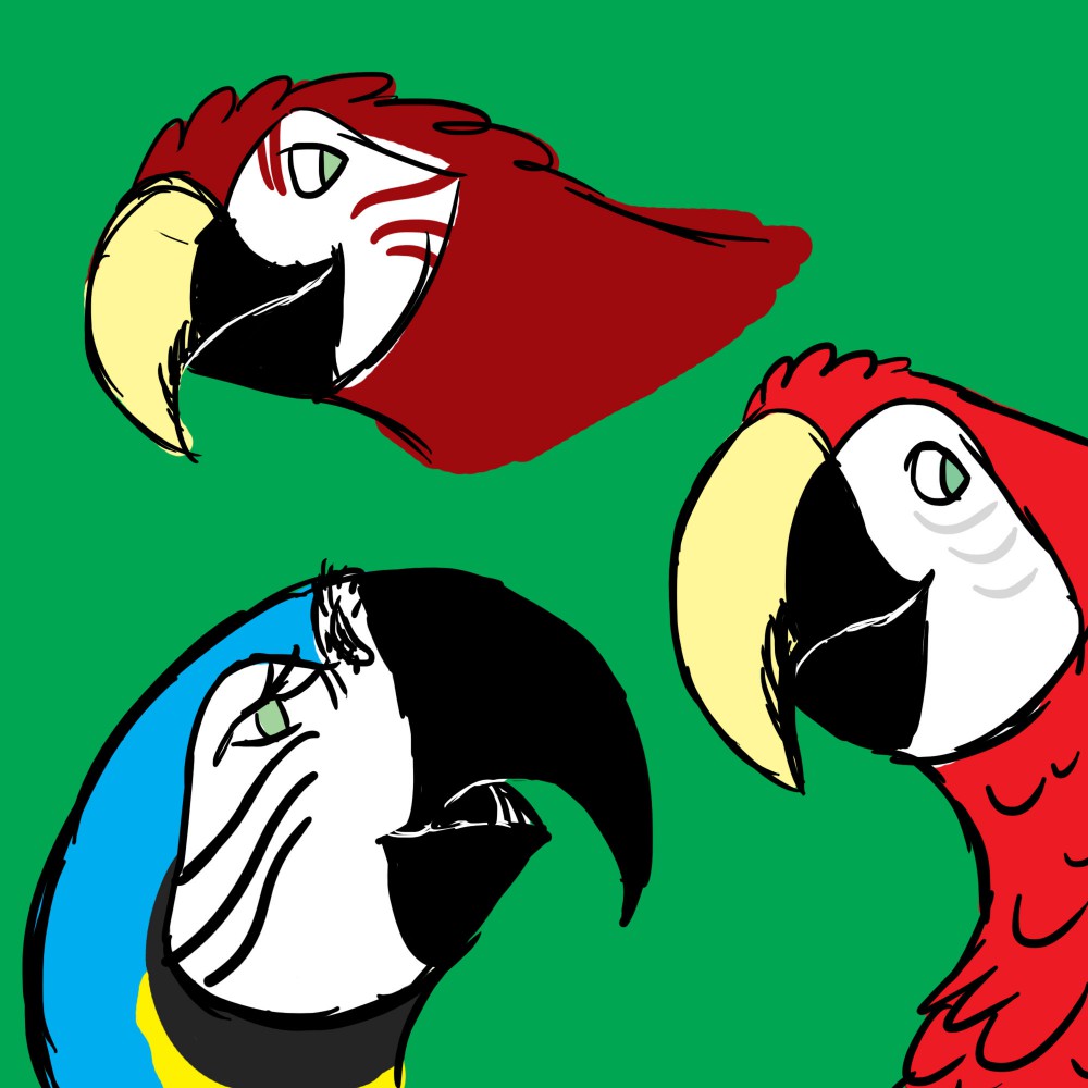 Random Macaw Sketches