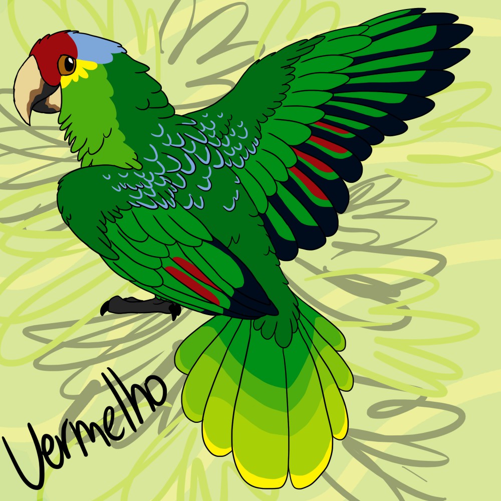 Amazon OC-Vermelho
