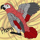 Gray OC-Phoenix