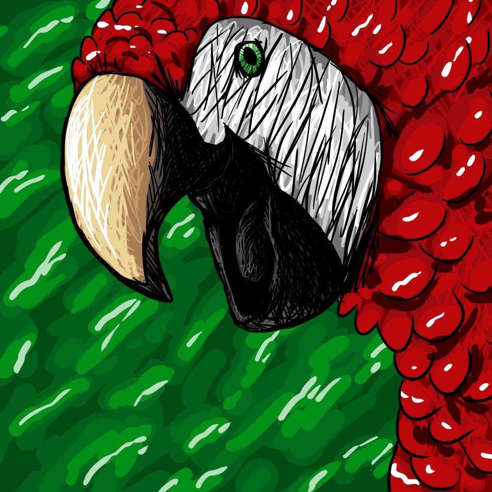 Screamer