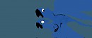 blu your flying