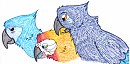 Jewel, Nic and Blu Preening Party