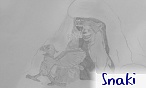 Snaki