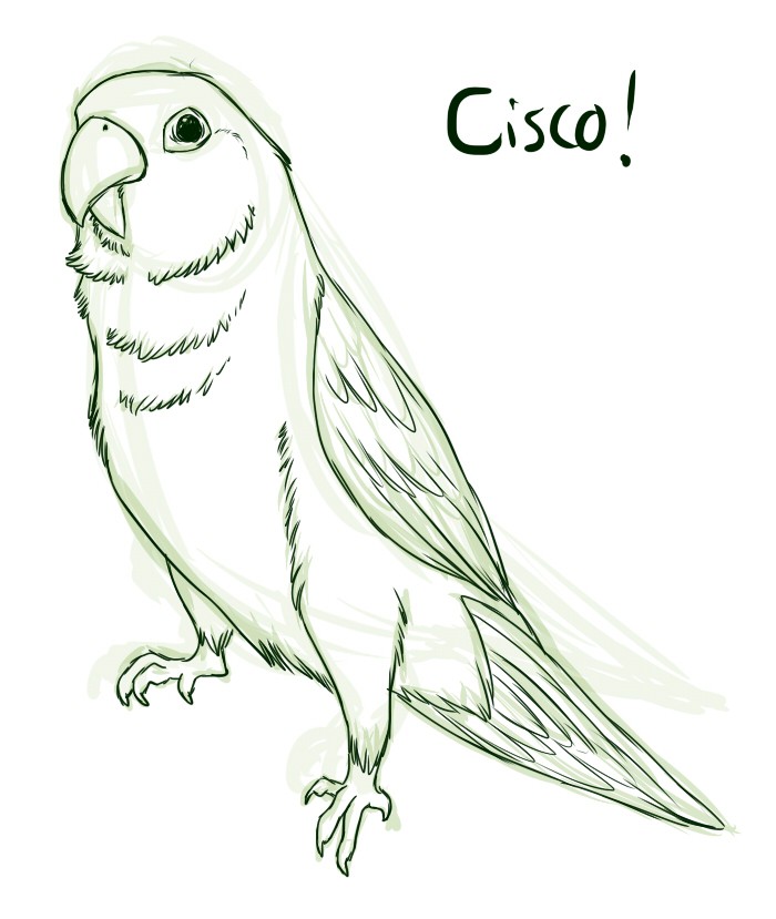 Cisco