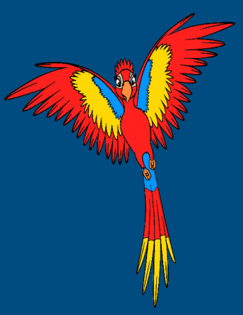 Detail Kiki