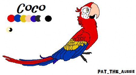 Detail  Coco
