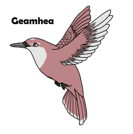 Detail Geamhea