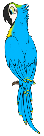 Detail Ni'ra