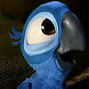 Jr.Blu